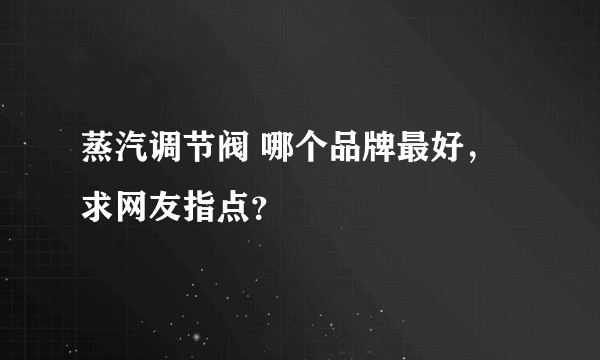 蒸汽调节阀 哪个品牌最好，求网友指点？