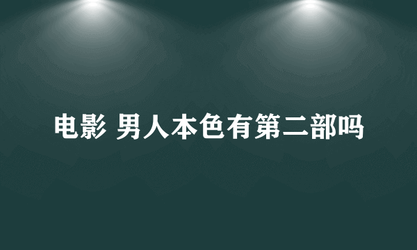 电影 男人本色有第二部吗