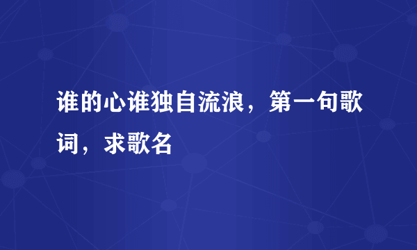 谁的心谁独自流浪，第一句歌词，求歌名