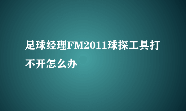 足球经理FM2011球探工具打不开怎么办