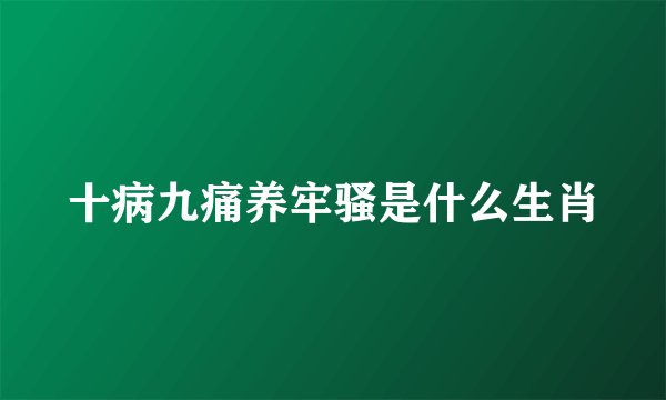 十病九痛养牢骚是什么生肖