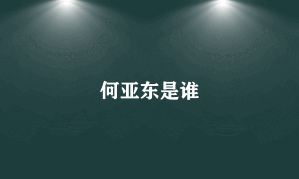 何亚东是谁