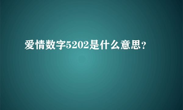 爱情数字5202是什么意思？