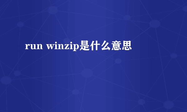 run winzip是什么意思