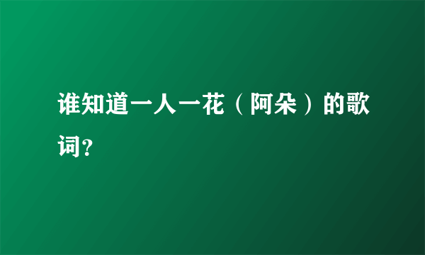 谁知道一人一花（阿朵）的歌词？