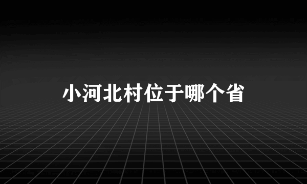 小河北村位于哪个省