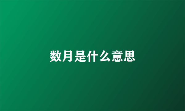 数月是什么意思