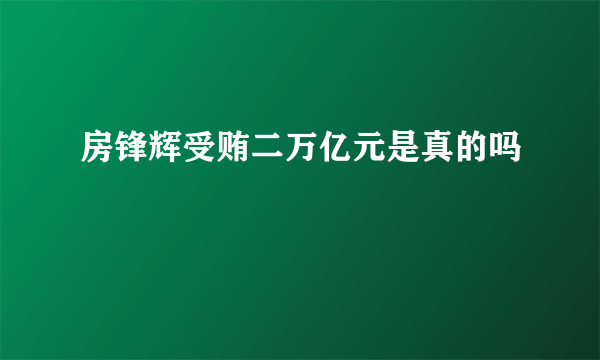 房锋辉受贿二万亿元是真的吗