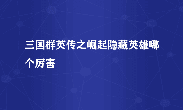 三国群英传之崛起隐藏英雄哪个厉害