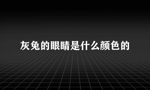 灰兔的眼睛是什么颜色的