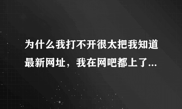 为什么我打不开很太把我知道最新网址，我在网吧都上了，我家的电脑就无法显示啊，要什么浏览器才行啊，高