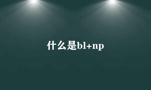 什么是bl+np