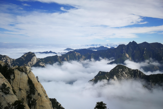 九月九日忆山东兄弟的山东指什么