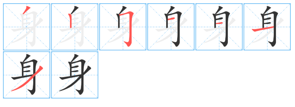 身体的体的笔顺