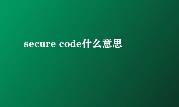 secure code什么意思