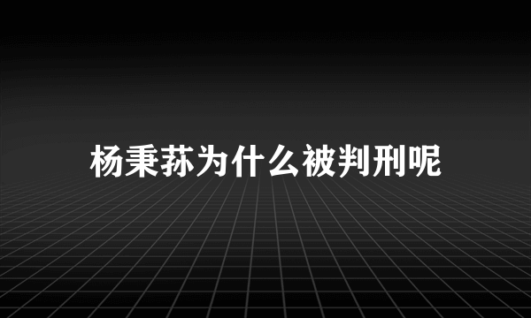 杨秉荪为什么被判刑呢