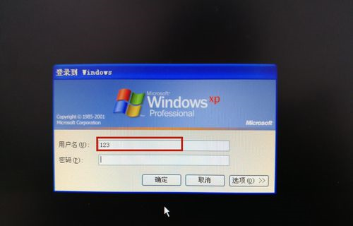 xp系统电脑密码忘记怎么办？