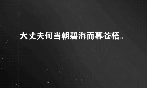 大丈夫何当朝碧海而暮苍梧。