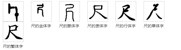 “尺”的笔顺是什么？