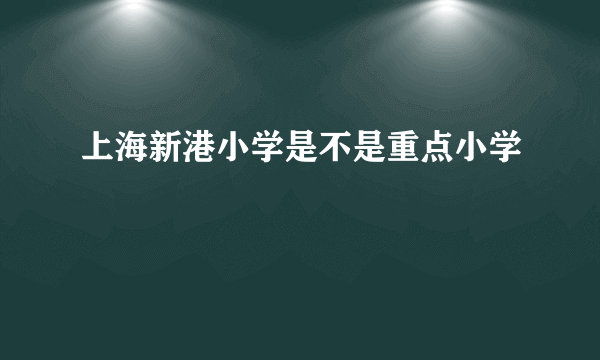 上海新港小学是不是重点小学