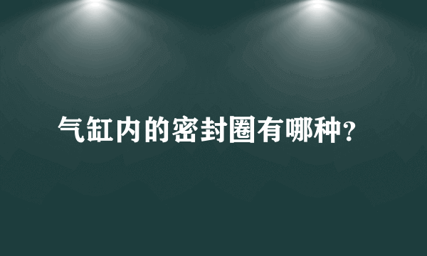 气缸内的密封圈有哪种？