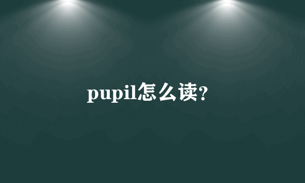 pupil怎么读？