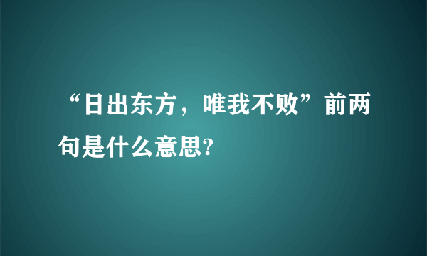 “日出东方，唯我不败”前两句是什么意思?