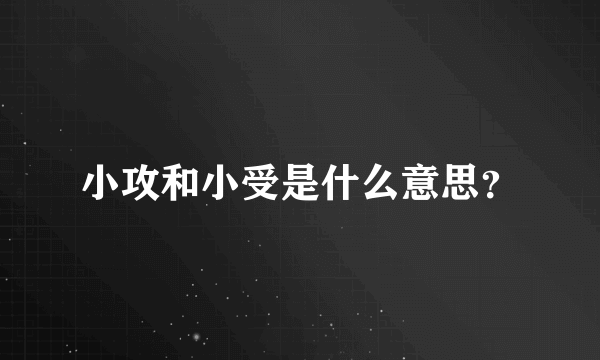 小攻和小受是什么意思？