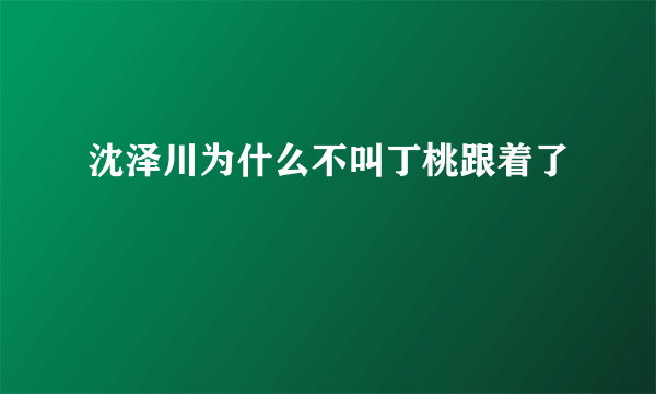 沈泽川为什么不叫丁桃跟着了