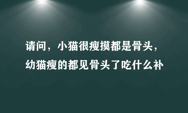 请问，小猫很瘦摸都是骨头，幼猫瘦的都见骨头了吃什么补