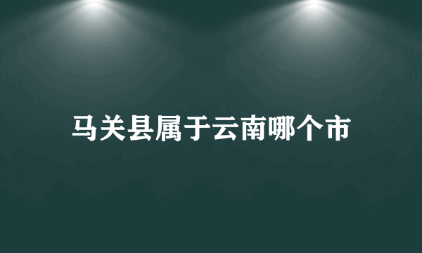 马关县属于云南哪个市