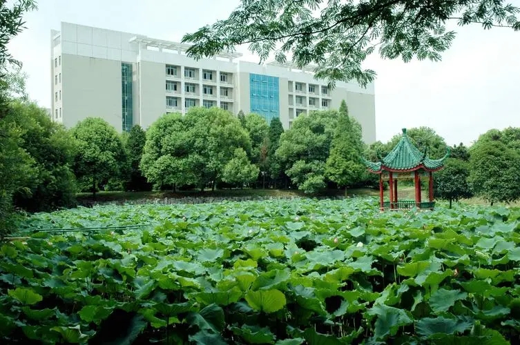 湖南科技大学排名