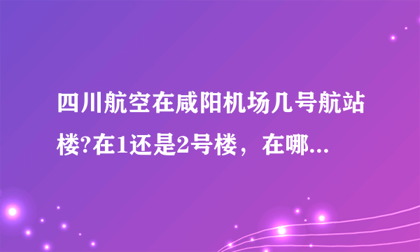 四川航空在咸阳机场几号航站楼?在1还是2号楼，在哪办理登机手续！航班号为3U8790！谢谢！