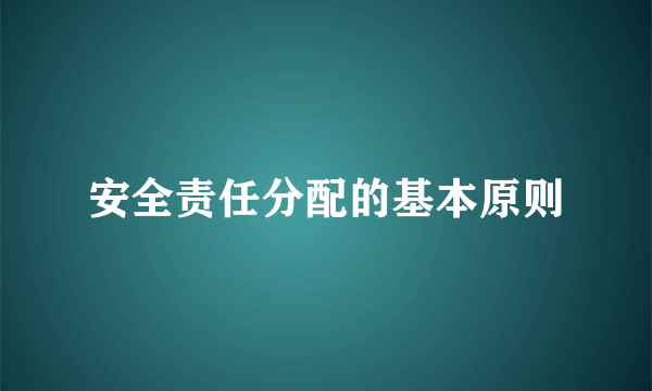 安全责任分配的基本原则