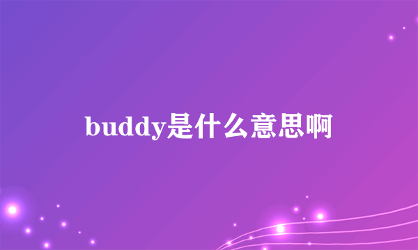 buddy是什么意思啊