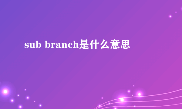 sub branch是什么意思