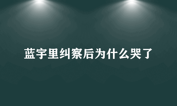 蓝宇里纠察后为什么哭了