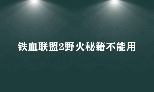 铁血联盟2野火秘籍不能用