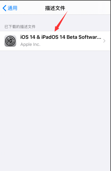 ios14.2建议升级吗