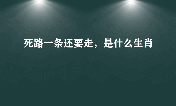 死路一条还要走，是什么生肖