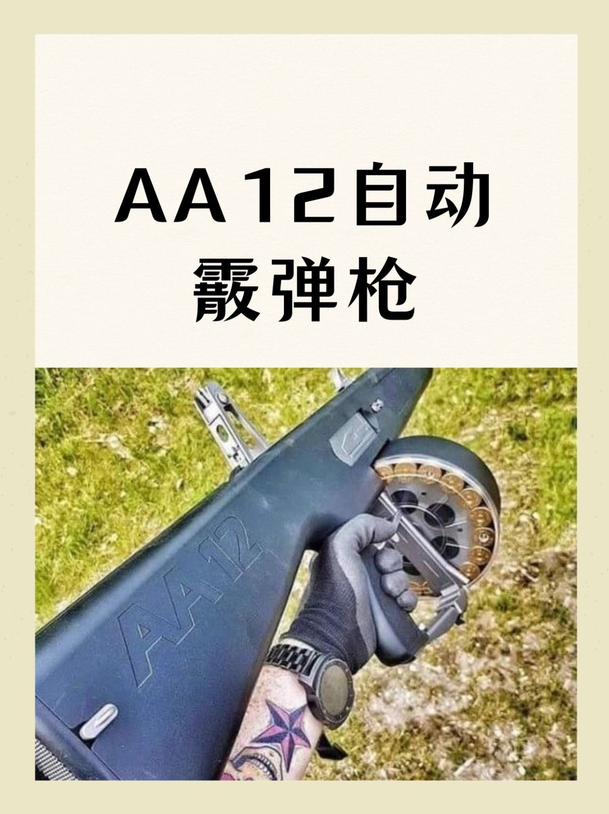 AA12自动霰弹枪