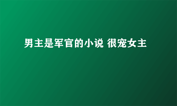 男主是军官的小说 很宠女主