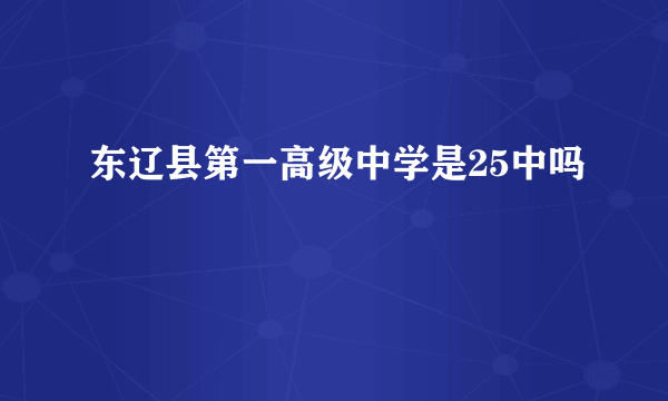 东辽县第一高级中学是25中吗