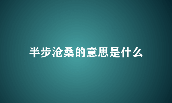 半步沧桑的意思是什么