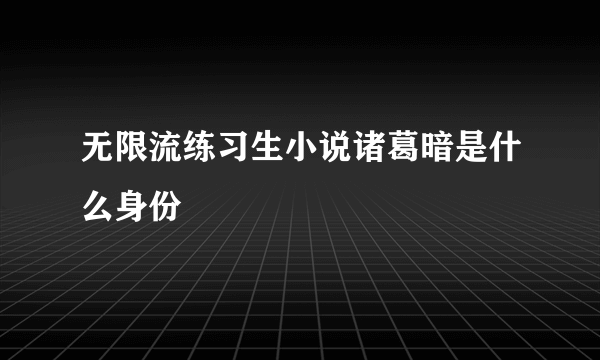 无限流练习生小说诸葛暗是什么身份