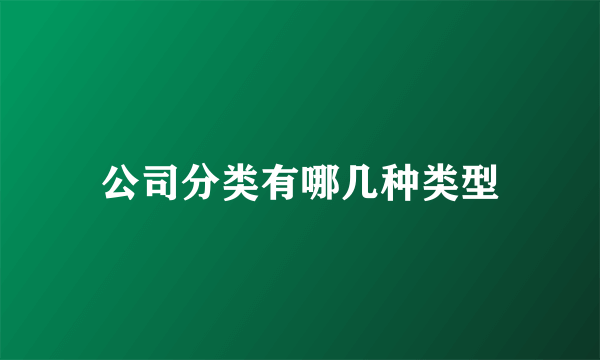 公司分类有哪几种类型