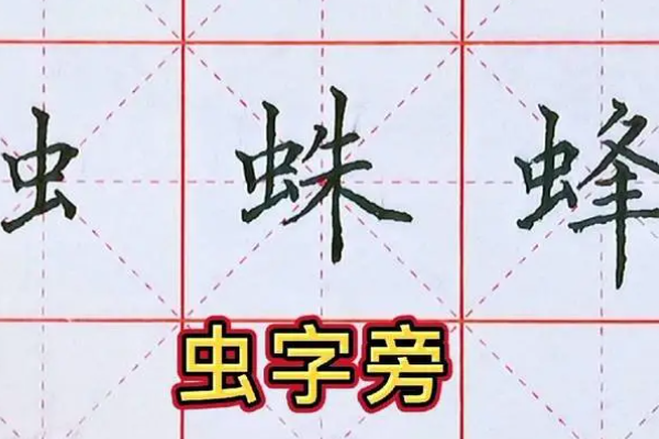 虫字旁的字有哪些字