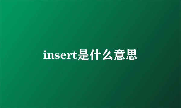 insert是什么意思