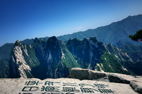 九月九日忆山东兄弟的山东指什么