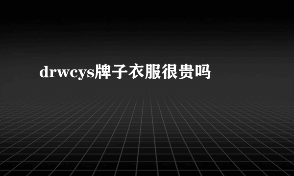 drwcys牌子衣服很贵吗